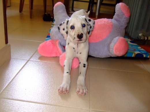 con su peluche favortito